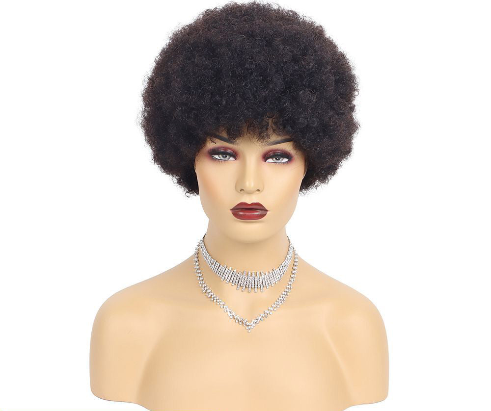 Kinky Curly Short Human Hair Wig