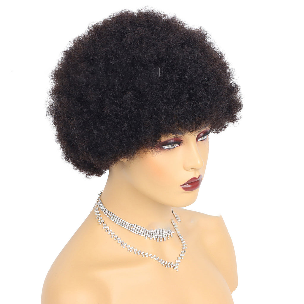 Kinky Curly Short Human Hair Wig