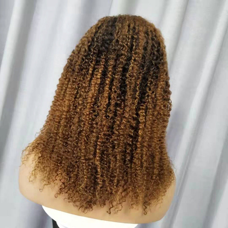 Transparent Lace Curly Human Hair Wig