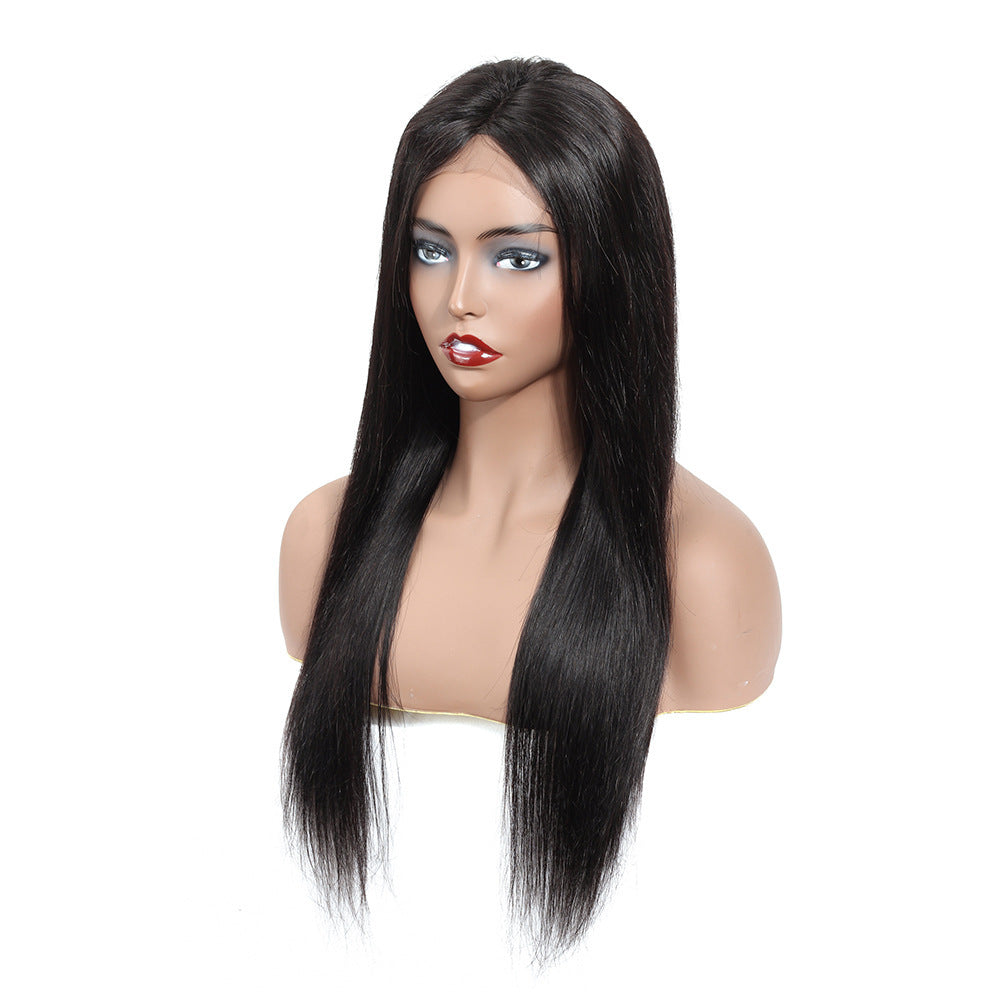 Straight long length human hair wig