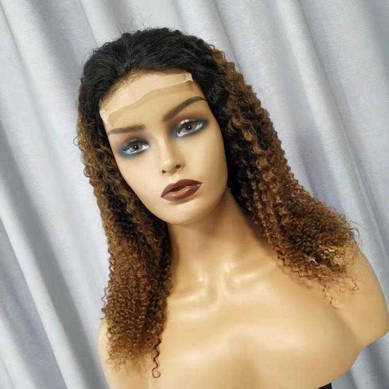 Transparent Lace Curly Human Hair Wig